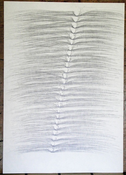 1985, 880×620 mm, tužka, papír, Kresba s překážkami, sig.