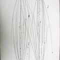 1997, 870×610 mm, obouruční kresba, tuš, papír, sig., soukr. sb. 12