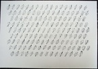 1999, 700×1000 mm, šablona, tuš, papír, sig.