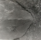 1977, 233 × 228 mm, perforace, fotografie