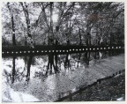 1976, 196 × 245 mm, perforace, fotografie, soukr. sb. 252