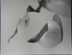 1975, 395 × 301 mm, raznice, fotografie, lepenka, soukr. sb. 252