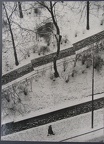 1977, 242 × 178 mm, raznice, fotografie, lepenka, soukr.sb. 257