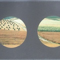 1974, 1B, 218 × 447 mm, raznice, reprodukce, lepenka