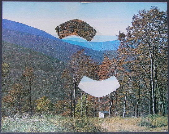 1977, 268 × 342 mm, raznice, reprodukce, lepenka