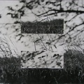 1977, 294 × 379 mm, raznice, fotografie, lepenka