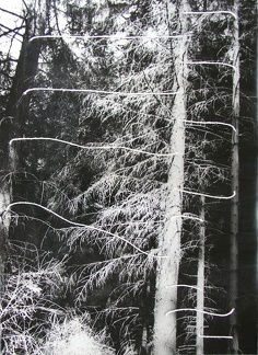 1976,382 × 276 mm, provázek, fotografie