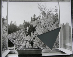 1978, 300 × 294 mm, raznice, fotografie, lepenka