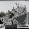1978, 300 × 294 mm, raznice, fotografie, lepenka