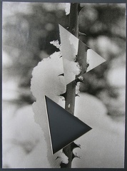 1978,275 × 373 mm, raznice, fotografie, lepenka