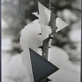1978,275 × 373 mm, raznice, fotografie, lepenka