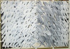 1987, 730×1020 cm, papír, akryl, Naopak, NG Praha, C.17081