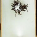 1972, 49,5×24,5 cm, dřevo, kov, umělohmotná fólie, ferit, sig., 4