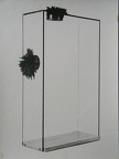 1971-72, 49,5×29×12 cm, plexisklo, dřevo, kov, ferity, Magnetické skříně, sig., GKK