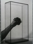 1971-72, 49,5×29×12 cm, plexisklo, dřevo, kov, ferity, Magnetické skříně, sig., GKK