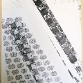 2002, 860×610 mm, kombinovaná technika, papír, sig.