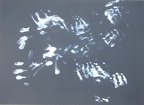 2009, 453 × 625 mm, akryl, papír