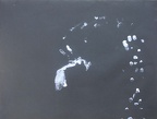 2009, 452 × 62 mm, akryl, papír