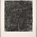 1964, 250×225 mm, lept, tiskařská barva, papír, sig.